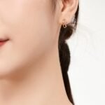Cubic Zirconia Stone Paperclip Shaped Jewelry 18k Gold Plated Earrings S925 Women's Silver Earrings